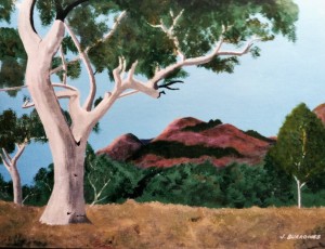 Painting: The Australian landscape